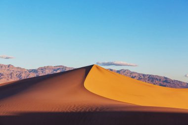 Ölüm Vadisi Milli Parkı, California, ABD kum tepeleri. Tonda yaşam mercan.