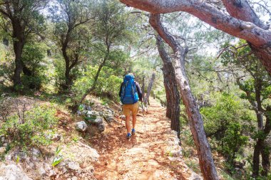 Hiking adam yolun ormanın içinde bay.