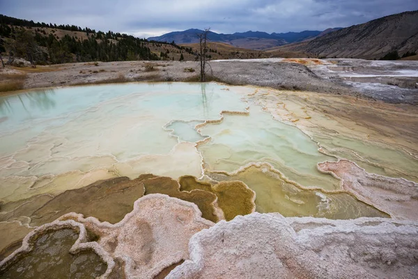 Gorące Źródło Północnym Wejściu Parku Narodowego Yellowstone Wyoming Usa — Zdjęcie stockowe