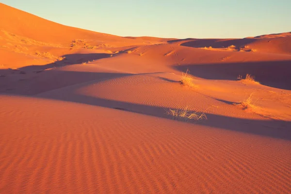 Dunes Sable Pittoresques Dans Désert — Photo