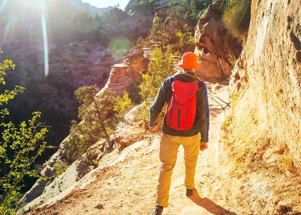 Wanderung Zion Nationalpark Mann Auf Dem Weg Zion Nationalpark Utah — Stockfoto
