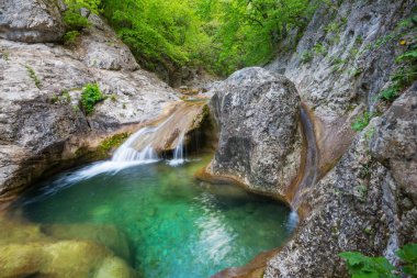 Yeşil bahar ormanlarında çağlayan sular..