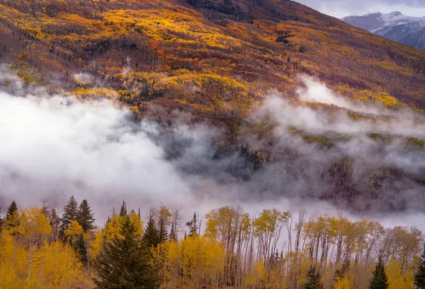 Kleurrijke Gele Herfst Colorado Verenigde Staten Herfstseizoen — Stockfoto