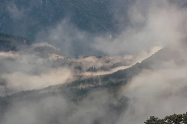 Magic Misty Forest Beautiful Natural Landscapes — Stock Photo, Image