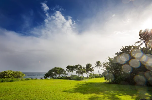 Gyönyörű Trópusi Tájak Maui Szigeten Hawaii — Stock Fotó