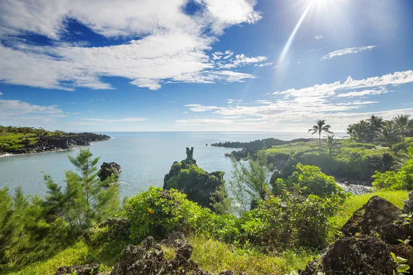 Hawaii Maui Adasındaki Güzel Tropikal Manzaralar — Stok fotoğraf