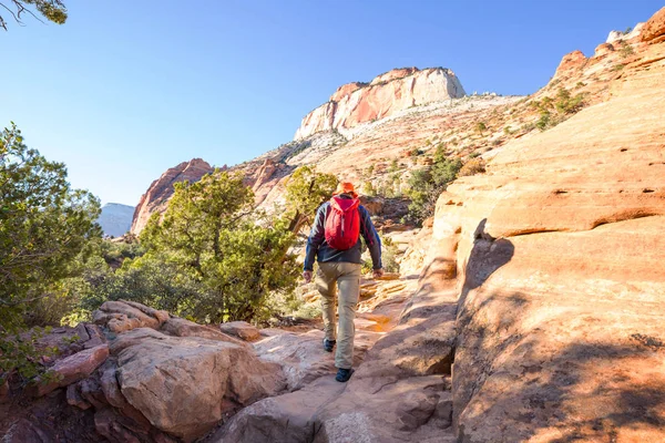 Wanderung Den Bergen Von Utah Wandern Ungewöhnlichen Naturlandschaften Fantastische Formen — Stockfoto