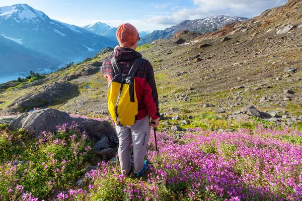 Caminhando Homem Nas Montanhas Canadenses Caminhada Atividade Recreação Popular América — Fotografia de Stock