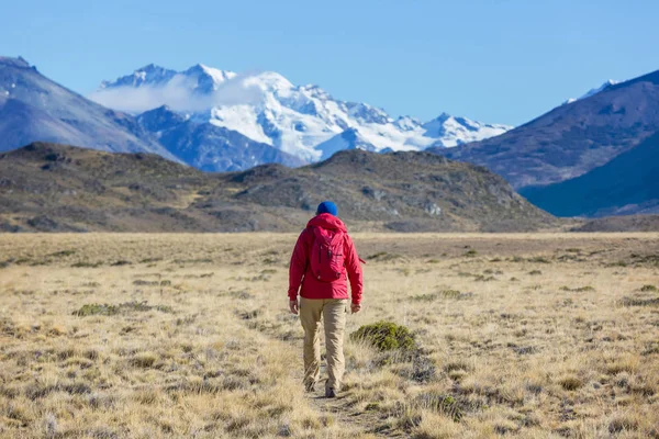 Perito Moreno Nationalpark Patagonien Argentinien — Stockfoto