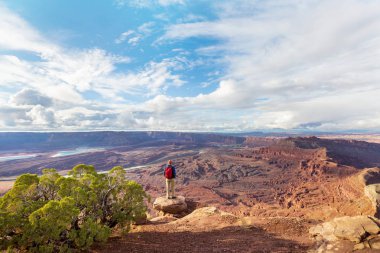 Canyonlands Ulusal Parkı 'nda yürüyüş, Utah, ABD.