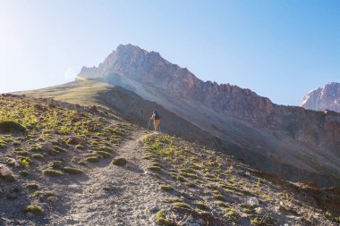 Yolculuk zamanı. Tacikistan, Pamir 'deki güzel Fann dağlarında yürüyüş yapan bir adam. Orta Asya.