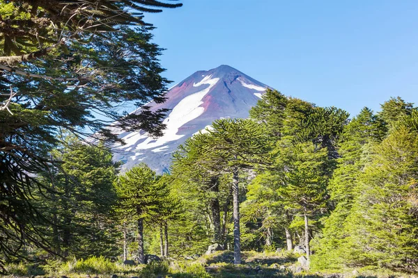 Krásné Sopečné Krajiny Chile Jižní Amerika — Stock fotografie