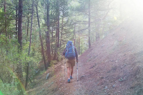 Homme Randonnée Baie Sentier Dans Forêt — Photo