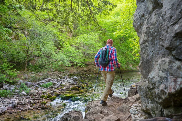 Backpacker Den Sommerbergen — Stockfoto