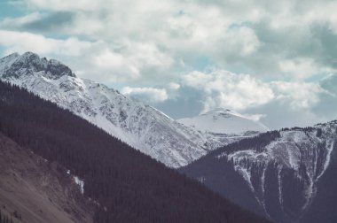 Colorado 'daki Dağ Manzarası Rocky Dağları, Colorado, ABD.