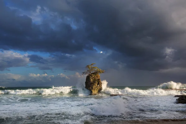 Beautiful Tropical Pacific Ocean Coast Costa Rica — Stock Photo, Image