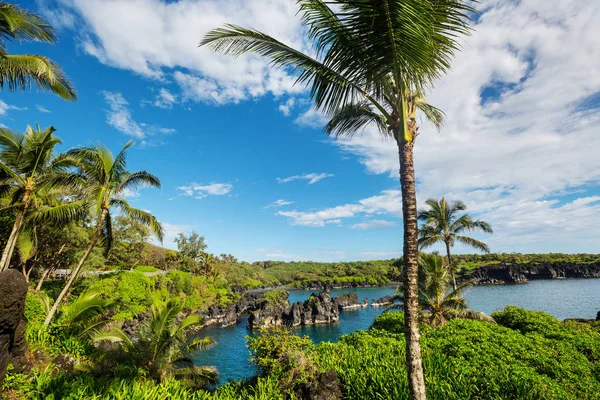 Hermosos Paisajes Tropicales Isla Maui Hawai —  Fotos de Stock