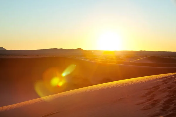 Sértetlen Homokdűnék Távoli Sivatagban — Stock Fotó
