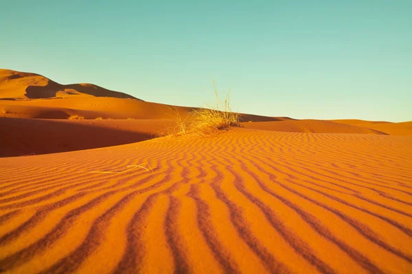 Dunas Arena Vírgenes Desierto Remoto — Foto de Stock