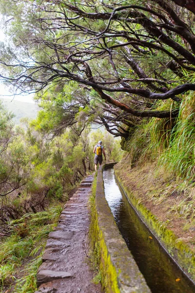 Senderismo Isla Madeira Portugal — Foto de Stock