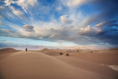 Ölüm Vadisi Milli Parkı, California, ABD kum tepeleri. Tonda yaşam mercan.
