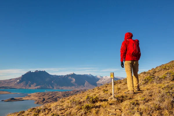 Park Narodowy Perito Moreno Patagonia Argentyna — Zdjęcie stockowe