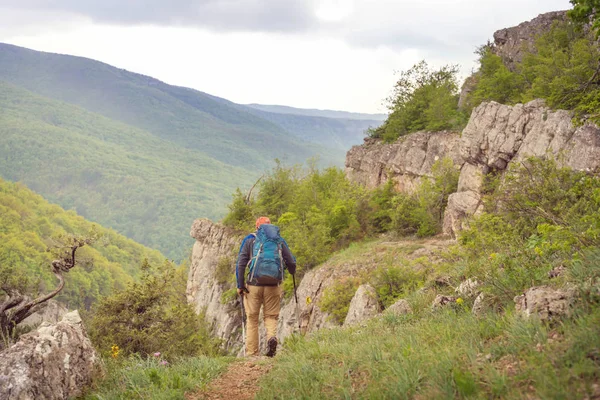 Yaz dağlarında gezgin