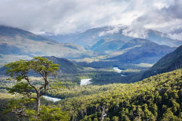 Patagónia Argentína Déli Részén Tájak — Stock Fotó