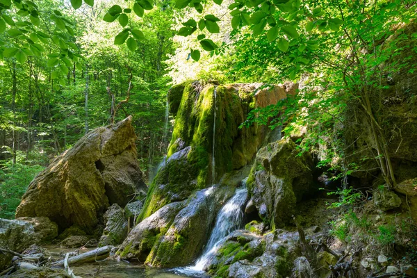 Wasserfall Schönen Grünen Wald — Stockfoto