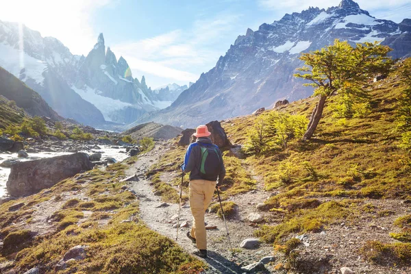 Wandelen Patagonische Bergen Argentinië — Stockfoto