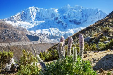 Cordillera Huayhuash, Peru, Güney Amerika 'daki güzel dağ manzaraları
