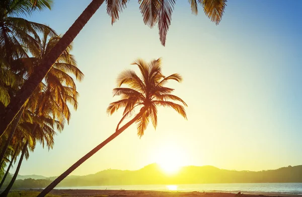 Lugn Den Tropiska Stranden — Stockfoto