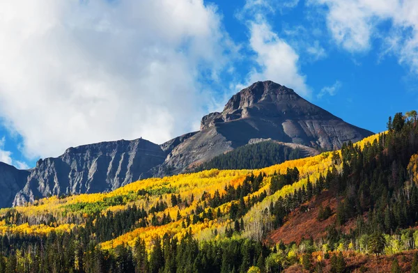 Kleurrijke Gele Herfst Colorado Verenigde Staten Herfstseizoen — Stockfoto