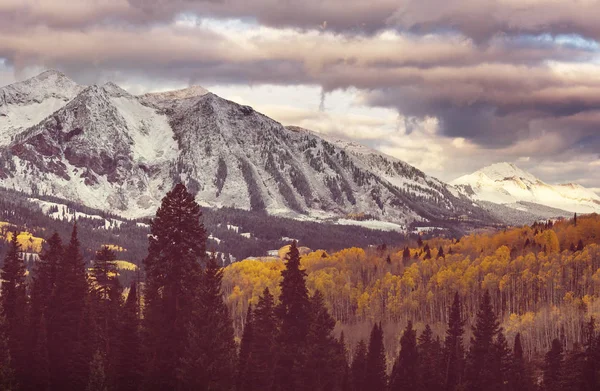 Outono Amarelo Colorido Colorado Estados Unidos Temporada Outono — Fotografia de Stock