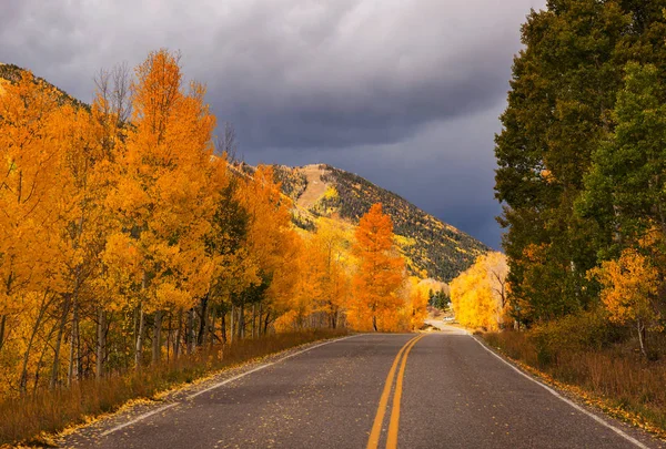 Colorful Yellow Autumn Colorado United States Fall Season — Stock Photo, Image