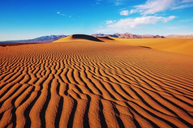 Ölüm Vadisi Milli Parkı, California, ABD kum tepeleri. Tonda yaşam mercan.