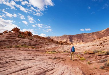 Utah dağlarında yürüyüş. Alışılmadık doğal manzaralarda yürüyüş. Fantastik kumtaşı oluşumları.