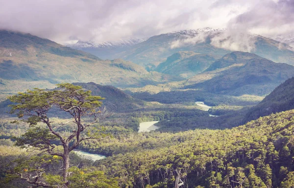 Krajiny Patagonie Jižní Argentině — Stock fotografie