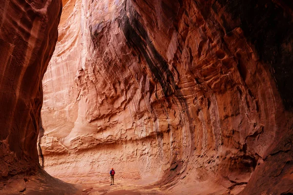 Kanion Szczelinowy Parku Narodowym Grand Staircase Escalante Utah Usa Niezwykłe — Zdjęcie stockowe