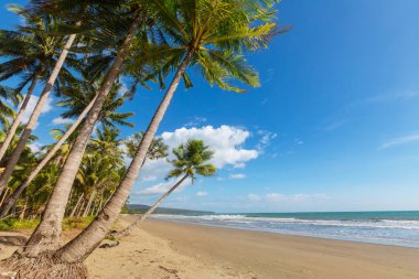 Tropikal plajda huzur