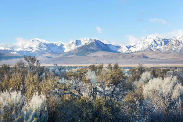 Paysages Américains Prairie Long Des Montagnes Sierra Nevada Californie États — Photo