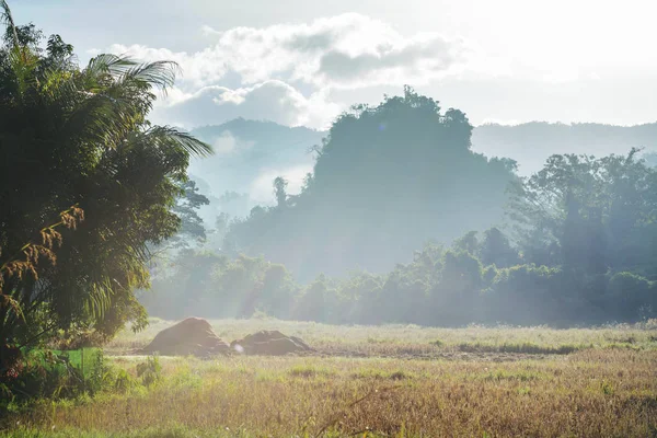 Landsbygdslandskap Norra Thailand — Stockfoto