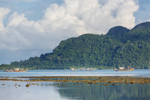 Şaşırtıcı doğal görünümü adaların deniz Körfezi ve dağ, Palawan, Filipinler
