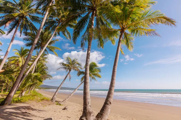 Spokój Tropikalnej Plaży — Zdjęcie stockowe