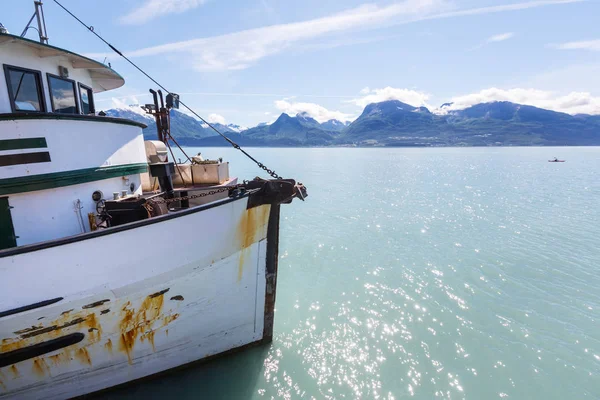 Amerika Birleşik Devletleri Alaska Nın Alışılmadık Yaz Manzaraları — Stok fotoğraf
