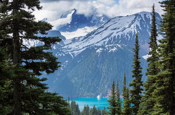 Vue Pittoresque Sur Montagne Dans Les Rocheuses Canadiennes Été — Photo
