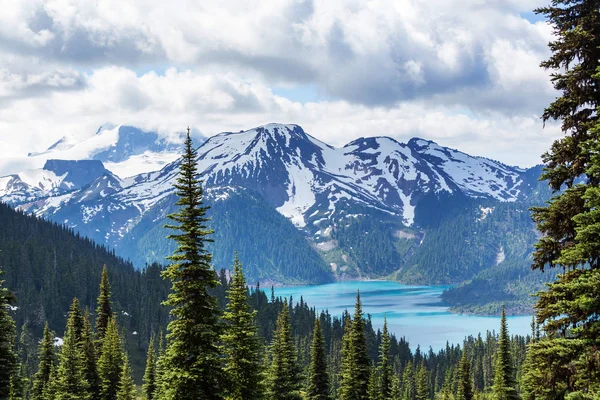 Pittoresca Vista Sulle Montagne Rocciose Canadesi Nella Stagione Estiva — Foto Stock