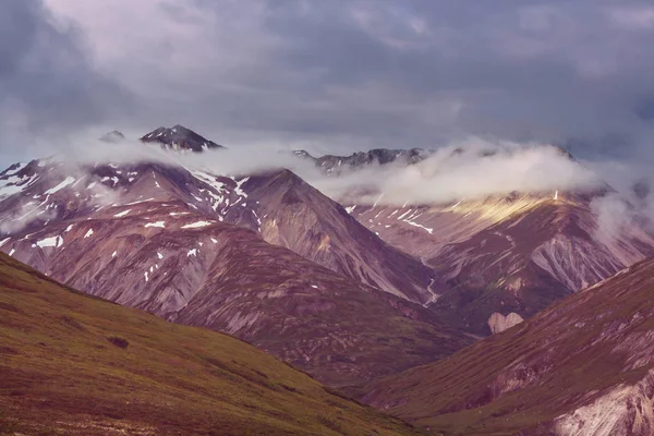 Живописный Вид Горы Скалистых Горах Канады Летний Сезон — стоковое фото