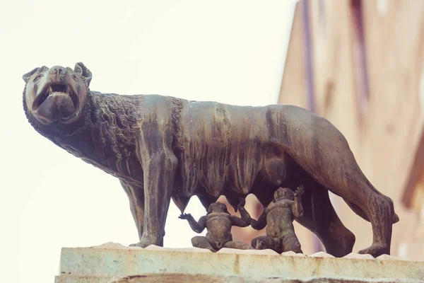 Die Statue Der Kapitolinischen Wölfe Säugen Romulus Und Remus Rom — Stockfoto