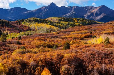 Colorado, ABD 'de renkli bir sonbahar. Sonbahar sezonu.